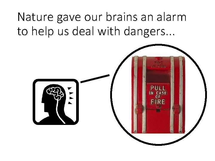 Nature gave our brains an alarm to help us deal with dangers. . .