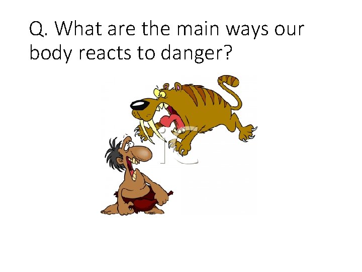 Q. What are the main ways our body reacts to danger? 