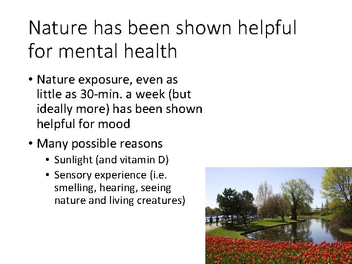 Nature has been shown helpful for mental health • Nature exposure, even as little