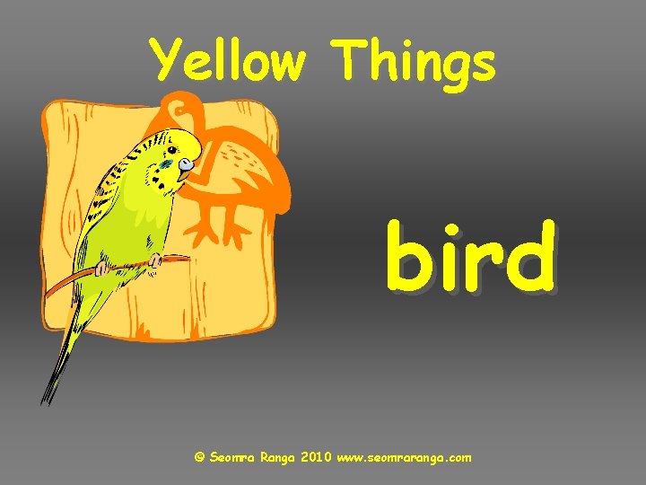 Yellow Things bird © Seomra Ranga 2010 www. seomraranga. com 