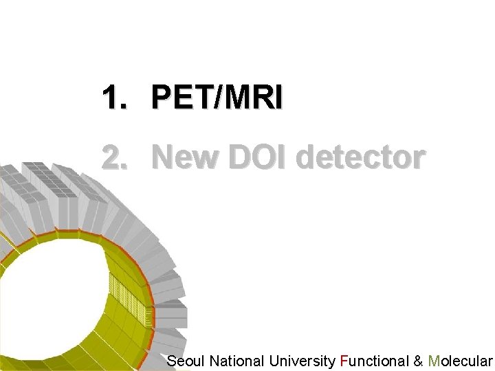 1. PET/MRI 2. New DOI detector Seoul National University Functional & Molecular 