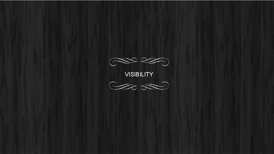 VISIBILITY 