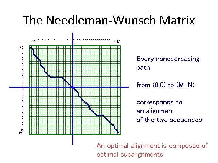 The Needleman-Wunsch Matrix x 1 ……………… x. M y 1 ……………… y. N Every