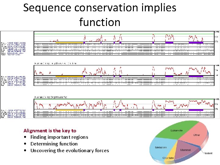 Sequence conservation implies function Alignment is the key to • Finding important regions •