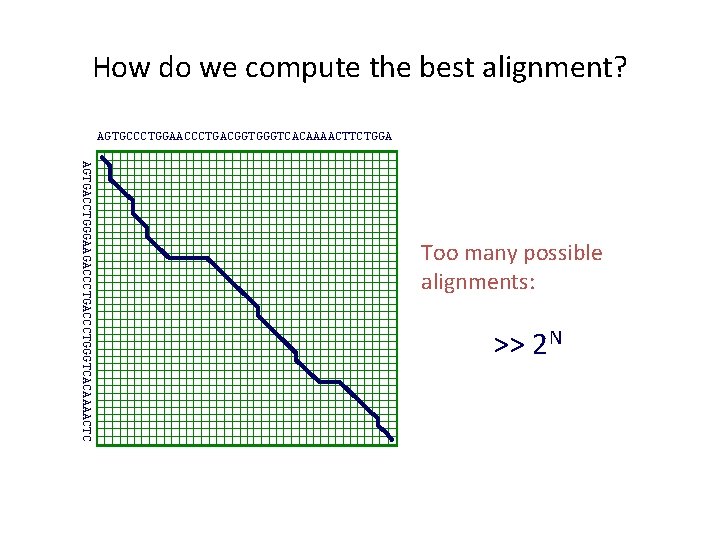 How do we compute the best alignment? AGTGCCCTGGAACCCTGACGGTGGGTCACAAAACTTCTGGA AGTGACCTGGGAAGACCCTGGGTCACAAAACTC Too many possible alignments: >>