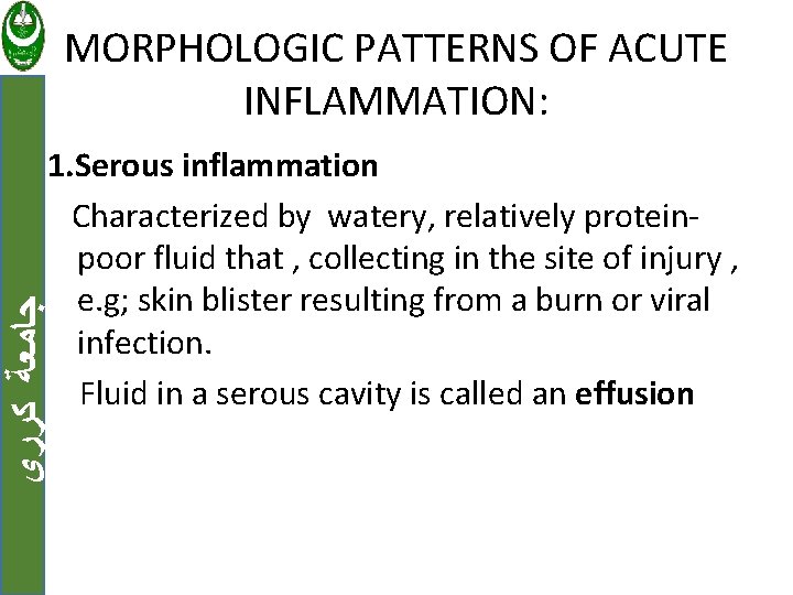 MORPHOLOGIC PATTERNS OF ACUTE INFLAMMATION: ﺟﺎﻣﻌﺔ ﻛﺮﺭﻱ 1. Serous inflammation Characterized by watery, relatively