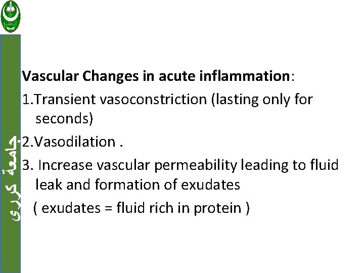  ﺟﺎﻣﻌﺔ ﻛﺮﺭﻱ Vascular Changes in acute inflammation: 1. Transient vasoconstriction (lasting only for