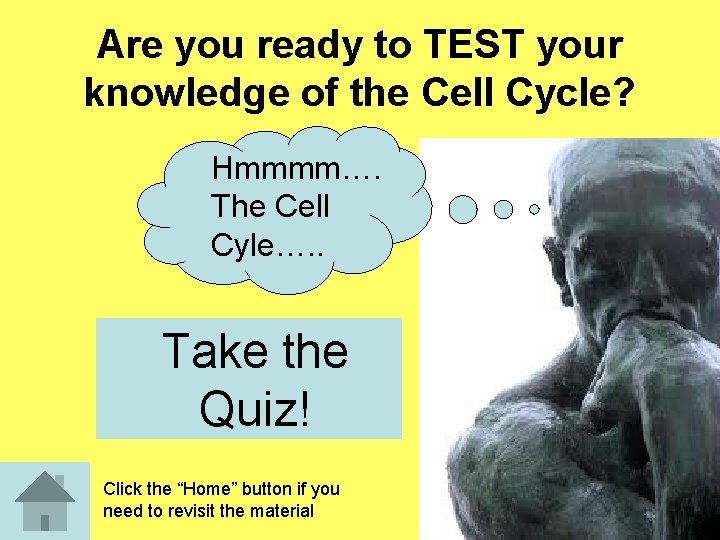 Are you ready to TEST your knowledge of the Cell Cycle? Hmmmm…. The Cell