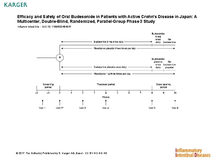 Efficacy and Safety of Oral Budesonide in Patients with Active Crohn's Disease in Japan: