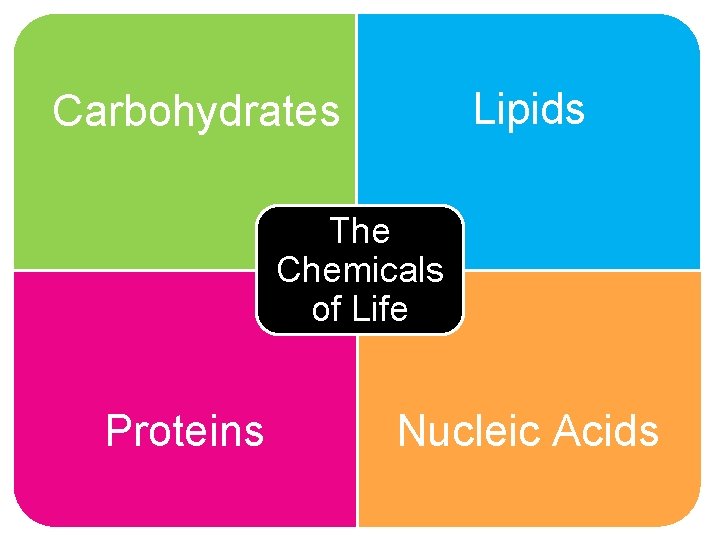 Lipids Carbohydrates • Lipids The Chemicals of Life Proteins Nucleic Acids 