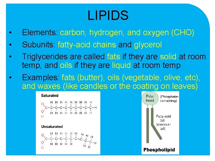 LIPIDS • • Elements: carbon, hydrogen, and oxygen (CHO) Subunits: fatty-acid chains and glycerol