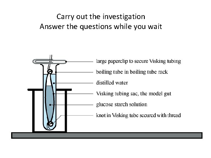 Carry out the investigation Answer the questions while you wait 