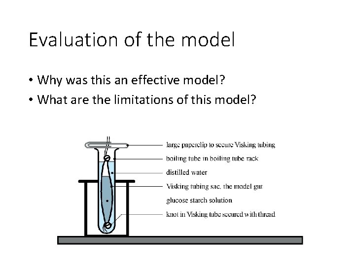 Evaluation of the model • Why was this an effective model? • What are