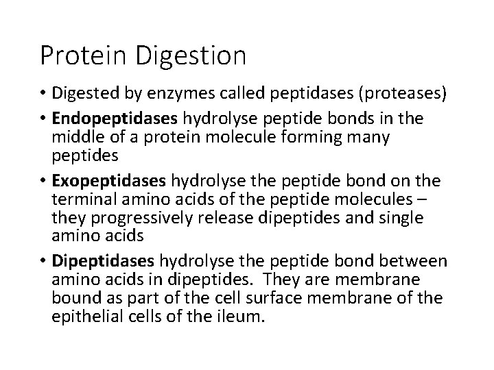 Protein Digestion • Digested by enzymes called peptidases (proteases) • Endopeptidases hydrolyse peptide bonds