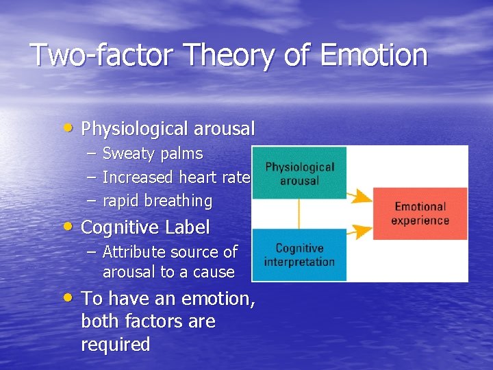 Two-factor Theory of Emotion • Physiological arousal – Sweaty palms – Increased heart rate