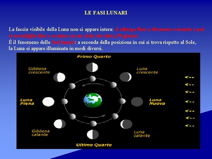 LE FASI LUNARI La faccia visibile della Luna non ci appare intera: si allarga