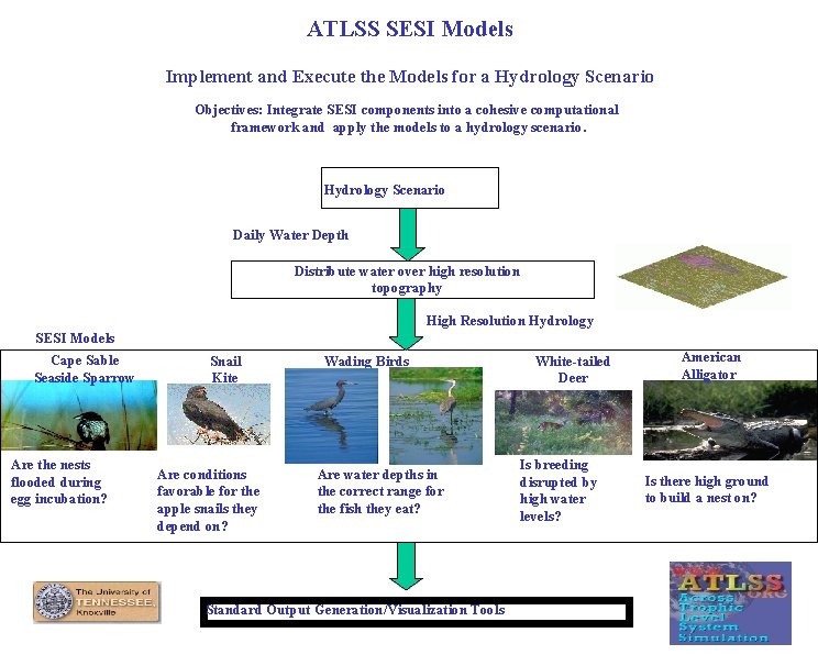 ATLSS SESI Models Implement and Execute the Models for a Hydrology Scenario Objectives: Integrate