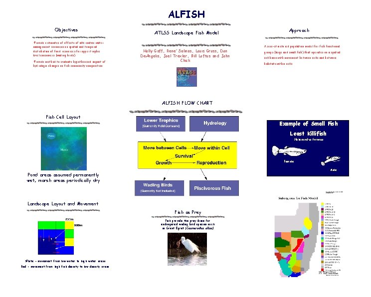 ALFISH Objectives ATLSS Landscape Fish Model • Provide estimates of effects of alternative water