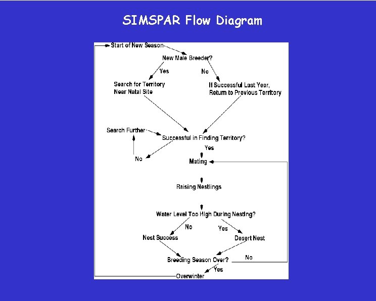 SIMSPAR Flow Diagram 