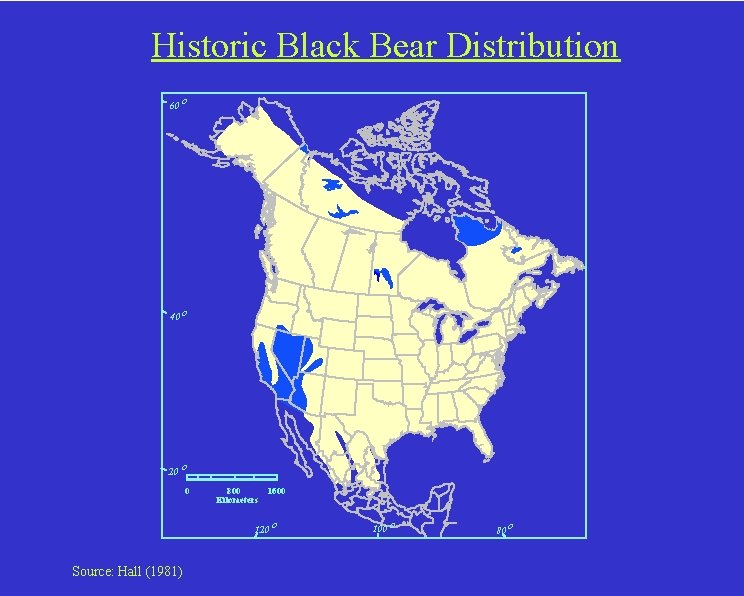 Historic Black Bear Distribution 60 o 40 o 20 o 0 800 Kilometers 1600