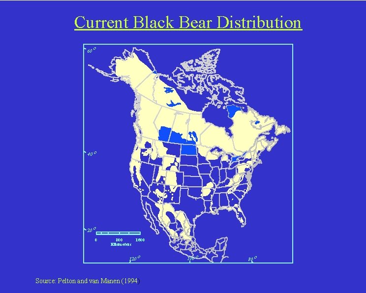 Current Black Bear Distribution 60 o 40 o 20 o 0 800 Kilometers 1600