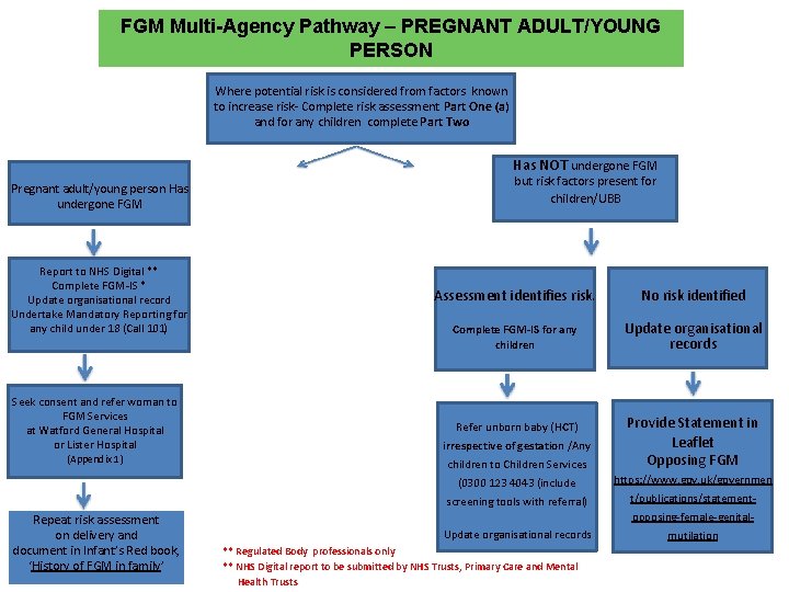 FGM Multi-Agency Pathway – PREGNANT ADULT/YOUNG PERSON Where potential risk is considered from factors