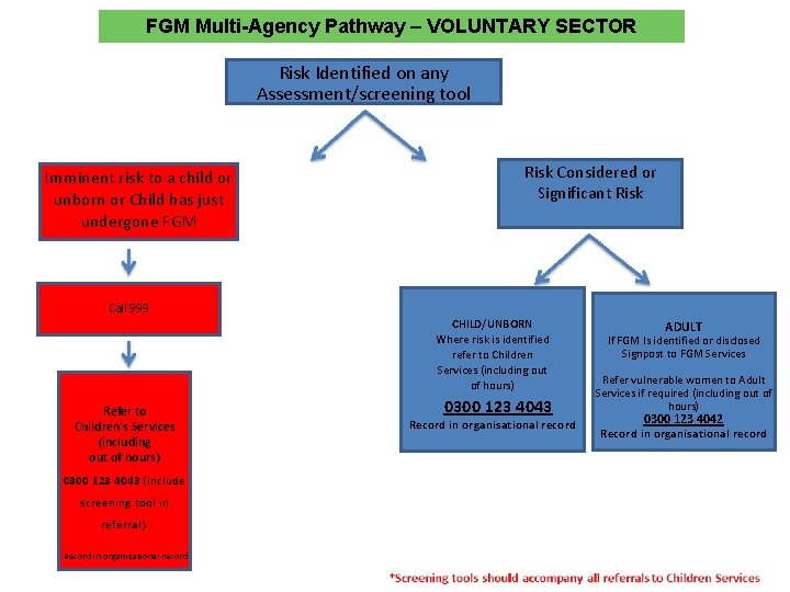 FGM Multi-Agency Pathway – VOLUNTARY SECTOR Risk Identified on any Assessment/screening tool Imminent risk