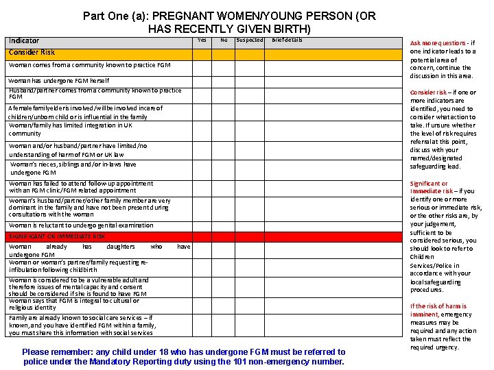 Part One (a): PREGNANT WOMEN/YOUNG PERSON (OR HAS RECENTLY GIVEN BIRTH) Indicator Consider Risk