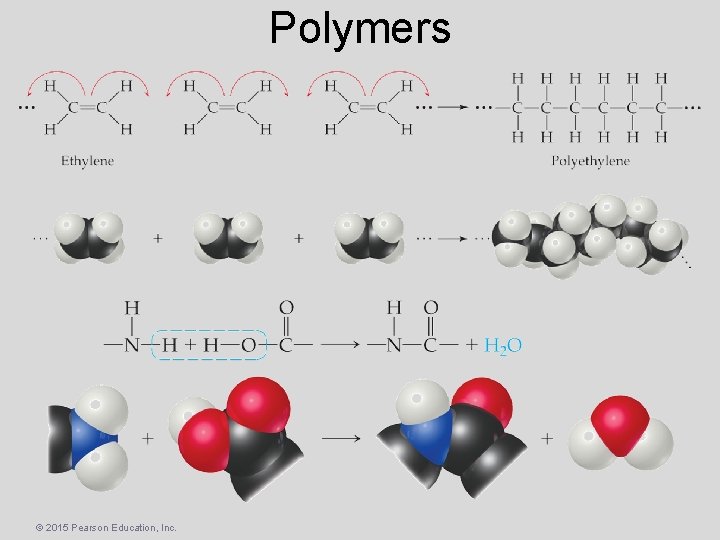 Polymers © 2015 Pearson Education, Inc. 