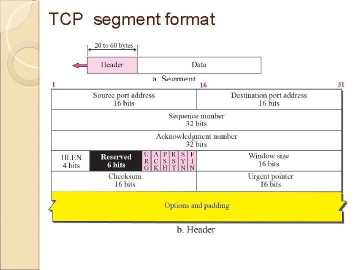 TCP segment format 