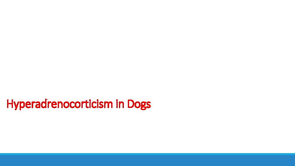 Hyperadrenocorticism in Dogs 