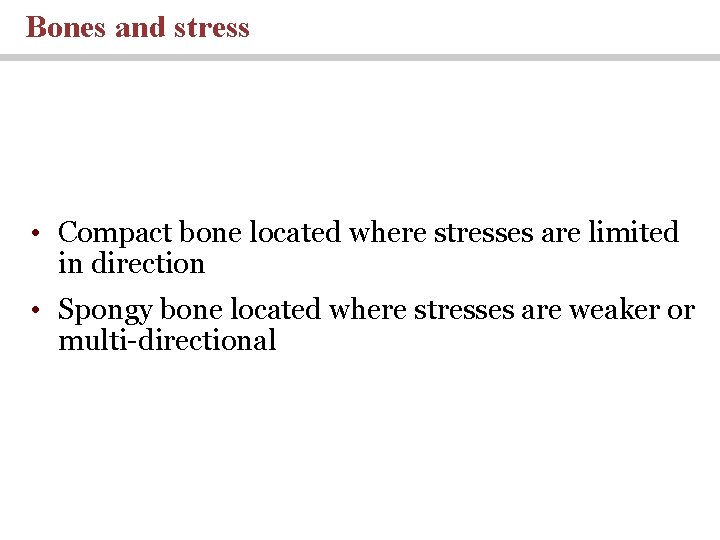 Bones and stress • Compact bone located where stresses are limited in direction •