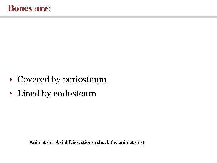 Bones are: • Covered by periosteum • Lined by endosteum Animation: Axial Dissections (check