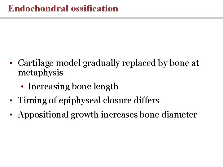 Endochondral ossification • Cartilage model gradually replaced by bone at metaphysis • Increasing bone