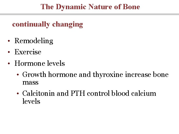 The Dynamic Nature of Bone continually changing • Remodeling • Exercise • Hormone levels