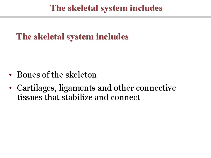 The skeletal system includes • Bones of the skeleton • Cartilages, ligaments and other