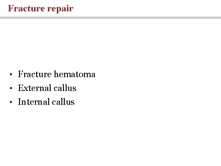 Fracture repair • Fracture hematoma • External callus • Internal callus 