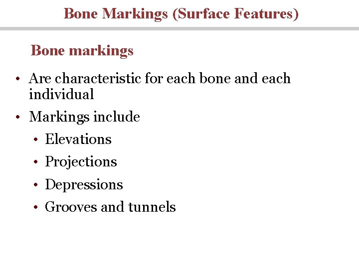 Bone Markings (Surface Features) Bone markings • Are characteristic for each bone and each