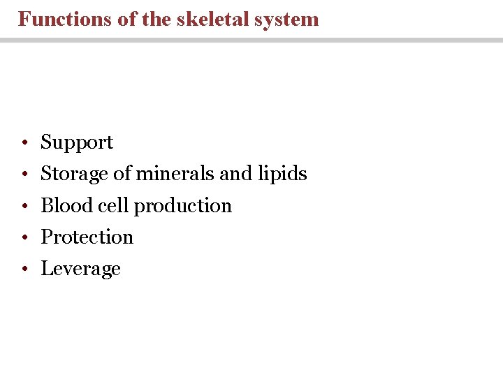 Functions of the skeletal system • Support • Storage of minerals and lipids •