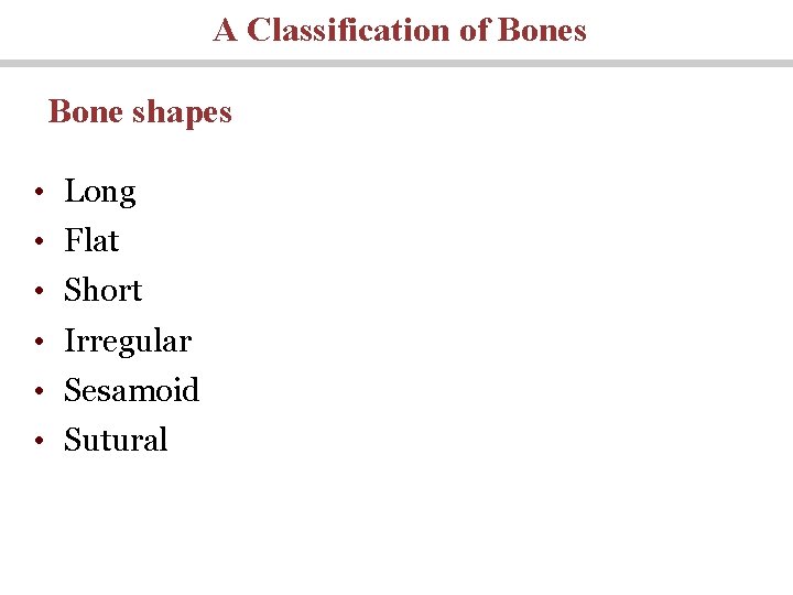 A Classification of Bones Bone shapes • Long • Flat • Short • Irregular