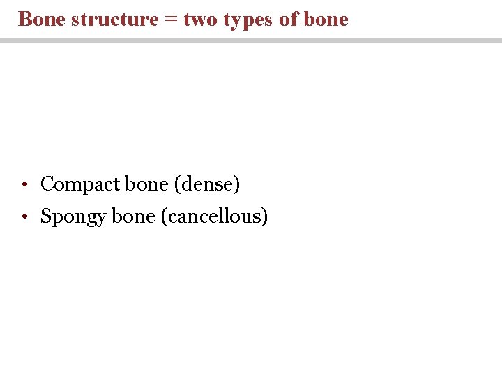 Bone structure = two types of bone • Compact bone (dense) • Spongy bone