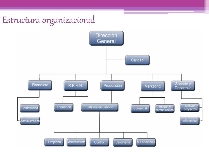 Estructura organizacional 