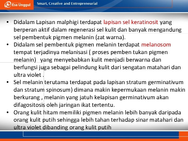  • Didalam Lapisan malphigi terdapat lapisan sel keratinosit yang berperan aktif dalam regenerasi