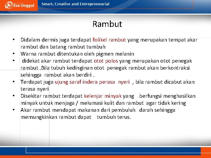 Rambut • Didalam dermis juga terdapat folikel rambut yang merupakan tempat akar rambut dan