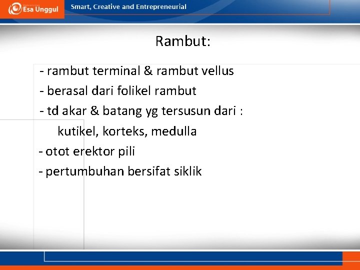 Rambut: - rambut terminal & rambut vellus - berasal dari folikel rambut - td