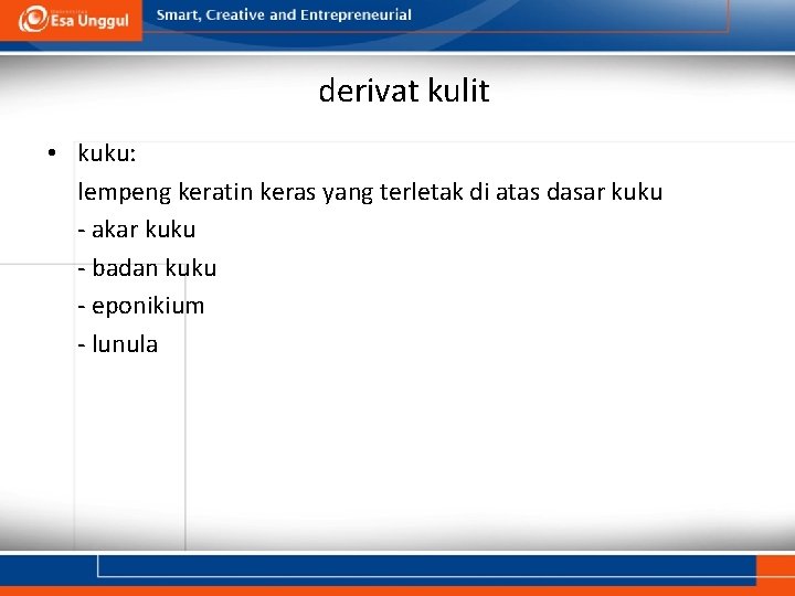 derivat kulit • kuku: lempeng keratin keras yang terletak di atas dasar kuku -