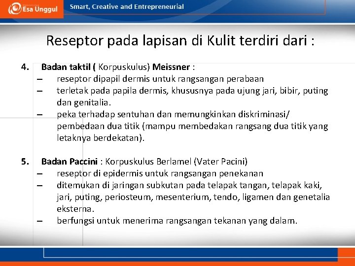 Reseptor pada lapisan di Kulit terdiri dari : 4. Badan taktil ( Korpuskulus) Meissner