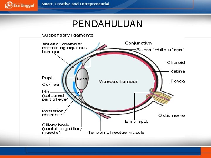 PENDAHULUAN 