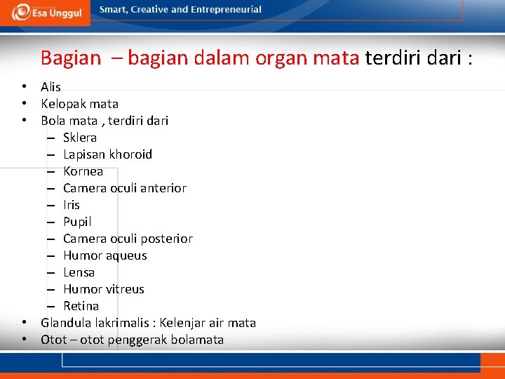 Bagian – bagian dalam organ mata terdiri dari : • Alis • Kelopak mata