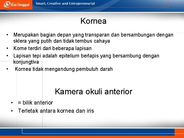 Kornea • Merupakan bagian depan yang transparan dan bersambungan dengan sklera yang putih dan